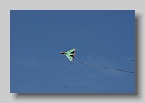 DSC05306