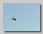 P5199222